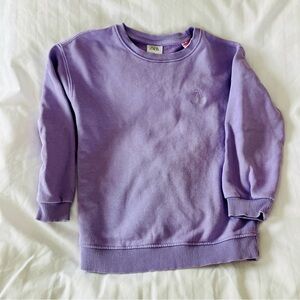 Zara Embroidered Light Purple Sweatshirt - Size 4-5